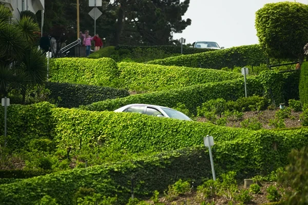 Great Garden Landscaping's other services