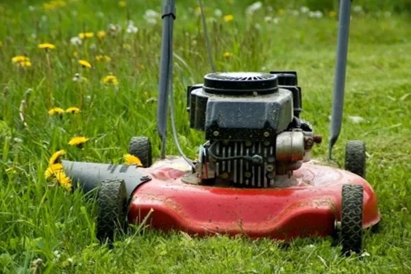 Lawn Mowing