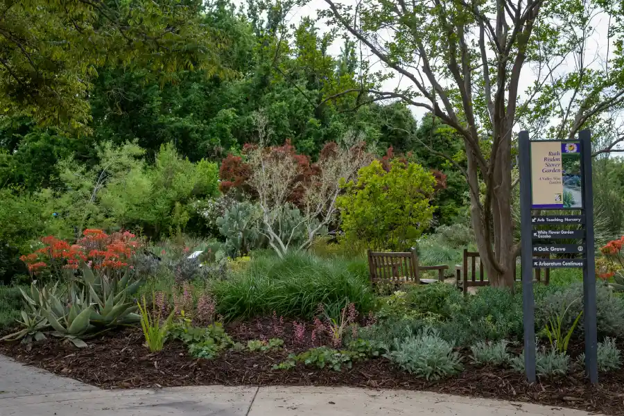 Professional Landscaping Contractor in Johns Island, SC Professional Landscaping Contractor in Johns Island, SC