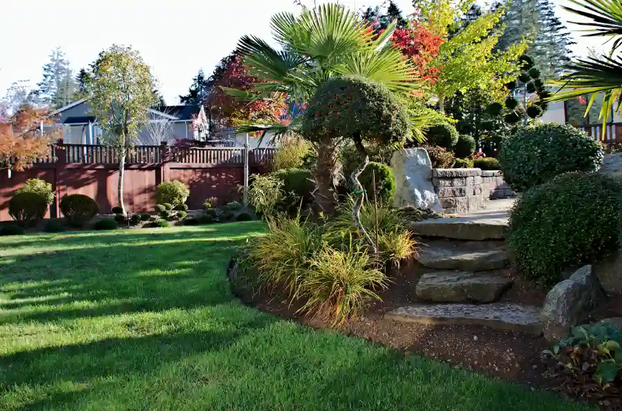 Professional Landscaping Services