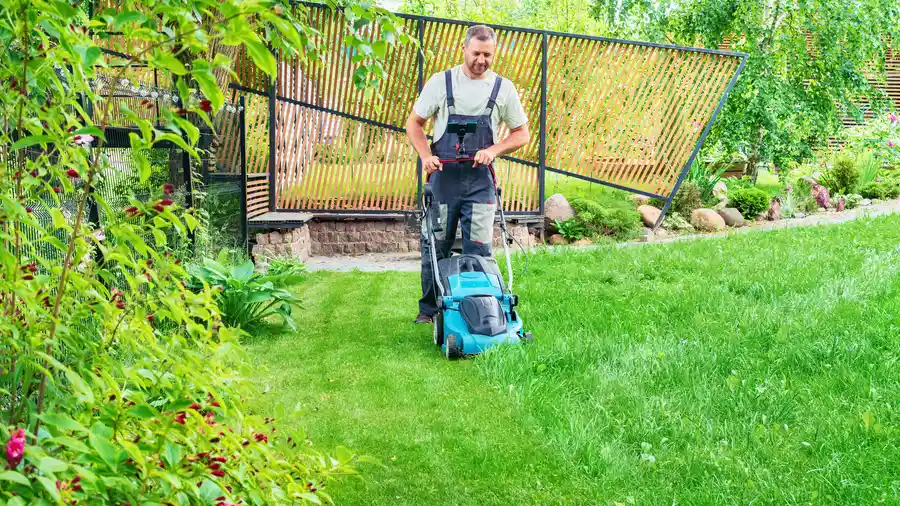 Expert Lawn Mowing Johns Island, SC Expert Lawn Mowing Johns Island, SC
