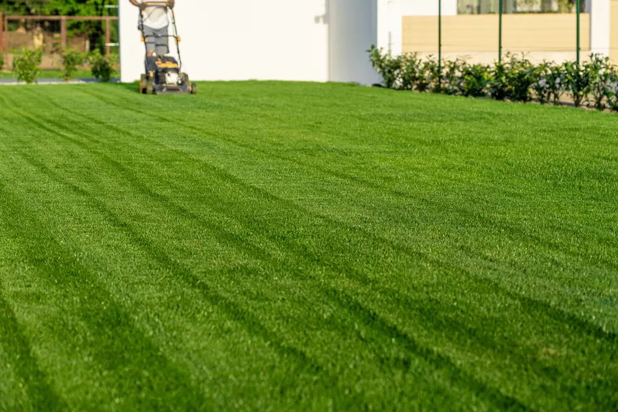 The Role Of Regular Lawn Mowing In Healthy Grass Growth Johns Island, SC The Role Of Regular Lawn Mowing In Healthy Grass Growth Johns Island, SC