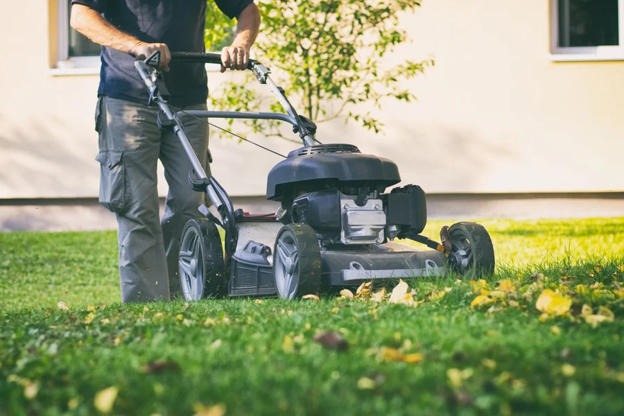 The Role Of Regular Lawn Mowing In Healthy Grass Growth in Johns Island, SC The Role Of Regular Lawn Mowing In Healthy Grass Growth in Johns Island, SC
