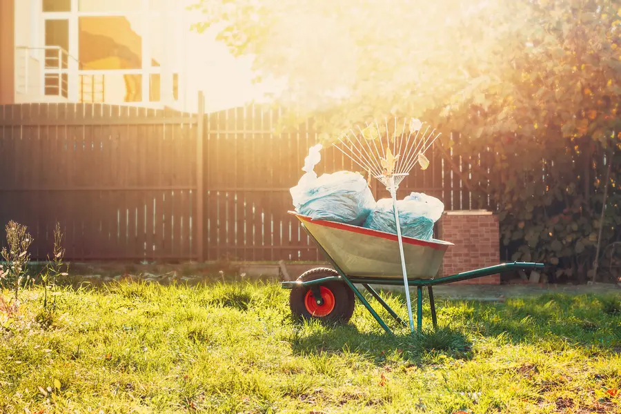 Why Regular Yard Cleaning Supports Plant Longevity Johns Island, SC Why Regular Yard Cleaning Supports Plant Longevity Johns Island, SC